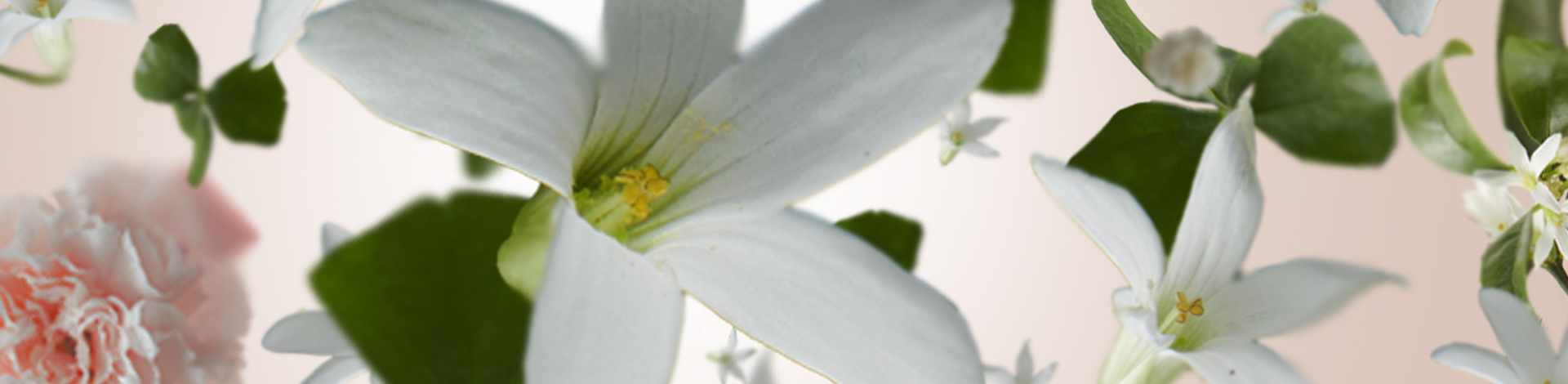 Ricarica lampada berger fleur de nymphéa 500 ml